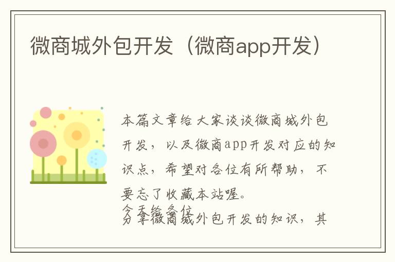 微商城外包开发(微商app开发)