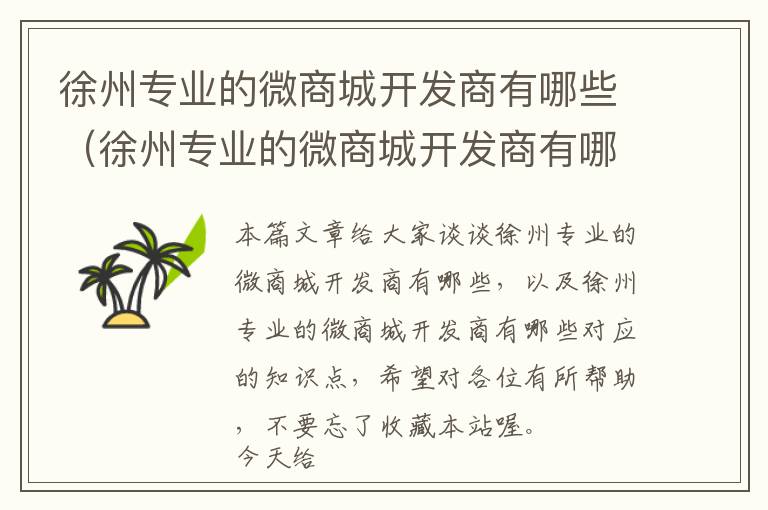 徐州专业的微商城开发商有哪些(徐州专业的微商城开发商有哪些)