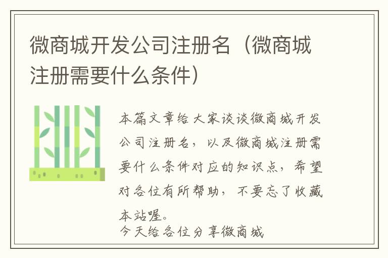 微商城开发公司注册名(微商城注册需要什么条件)
