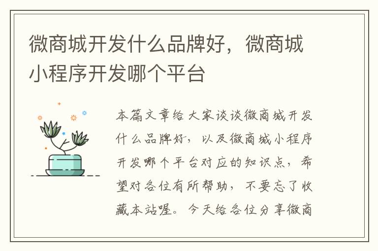 微商城开发什么品牌好,微商城小程序开发哪个平台