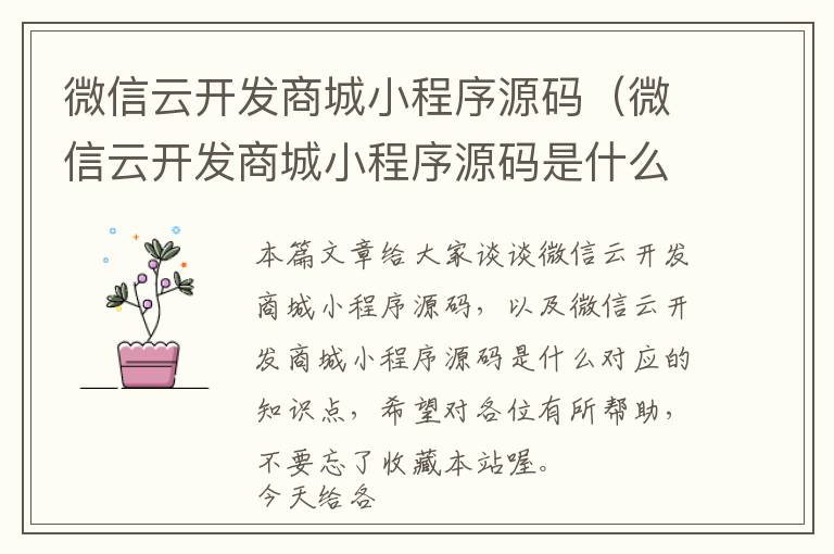微信云开发商城小程序源码(微信云开发商城小程序源码是什么)