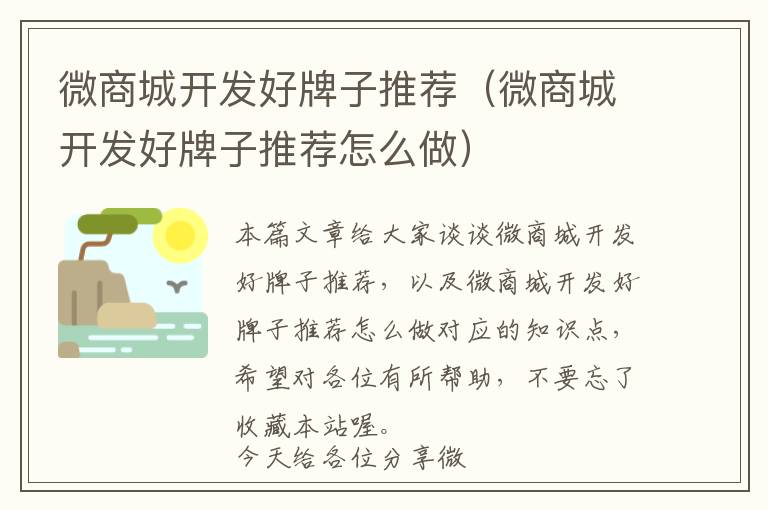 微商城开发好牌子推荐(微商城开发好牌子推荐怎么做)