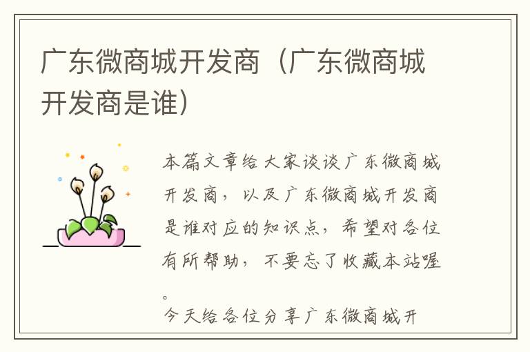 广东微商城开发商(广东微商城开发商是谁)