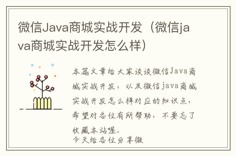 微信Java商城实战开发(微信java商城实战开发怎么样)