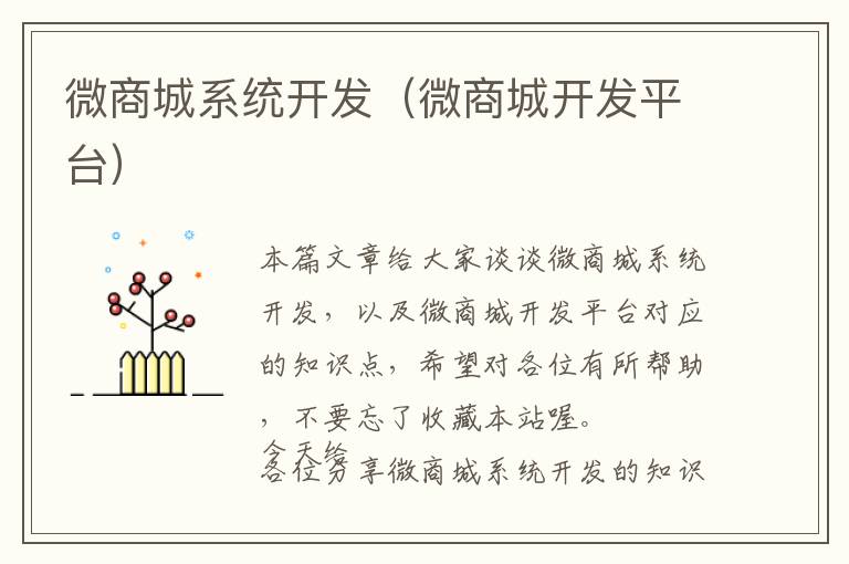 微商城系统开发(微商城开发平台)