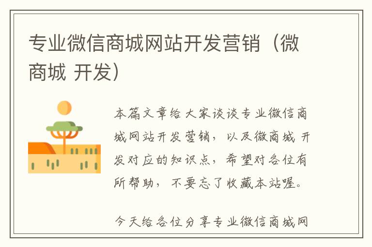 专业微信商城网站开发营销(微商城 开发)