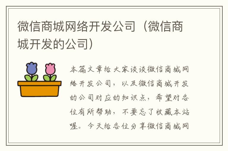 微信商城网络开发公司(微信商城开发的公司)