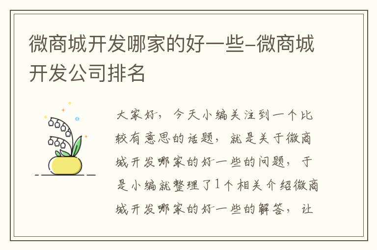 微商城开发哪家的好一些-微商城开发公司排名