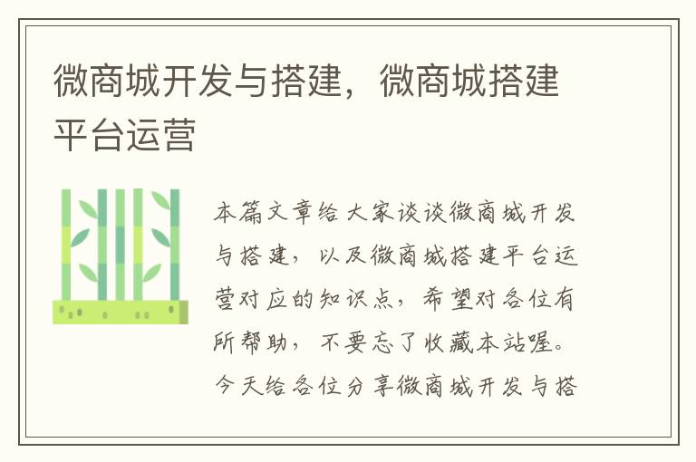 微商城开发与搭建,微商城搭建平台运营