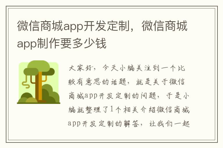 微信商城app开发定制,微信商城app制作要多少钱