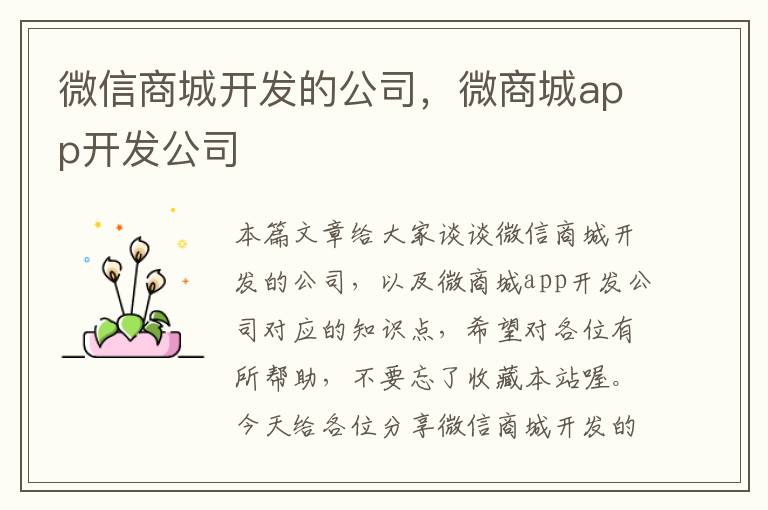 微信商城开发的公司,微商城app开发公司