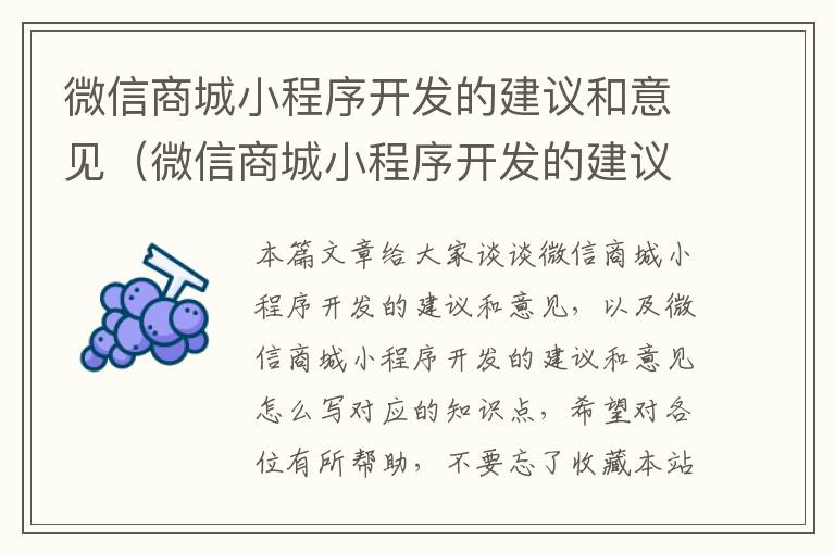 微信商城小程序开发的建议和意见(微信商城小程序开发的建议和意见怎么写)
