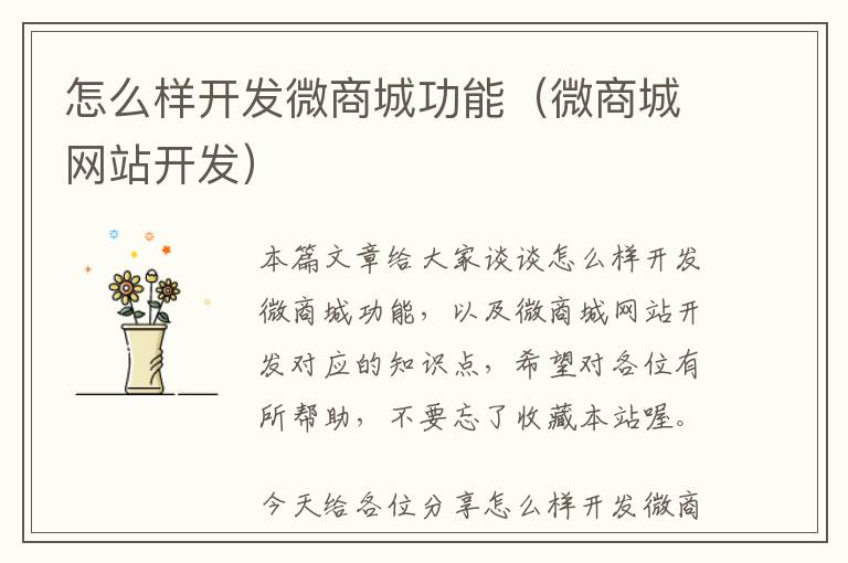 怎么样开发微商城功能(微商城网站开发)