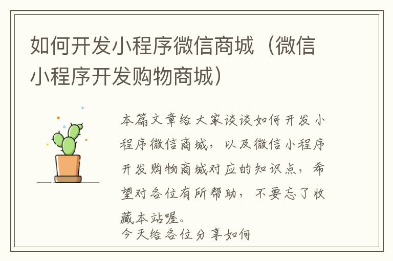 如何开发小程序微信商城(微信小程序开发购物商城)