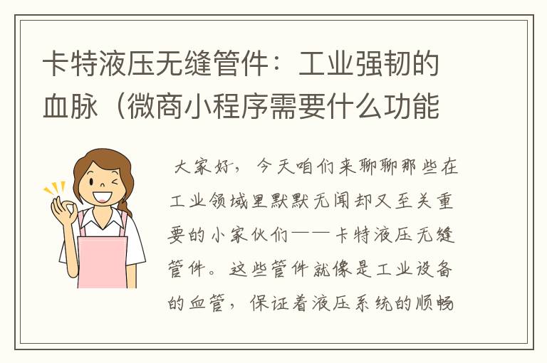 卡特液压无缝管件:工业强韧的血脉(微商小程序需要什么功能)
