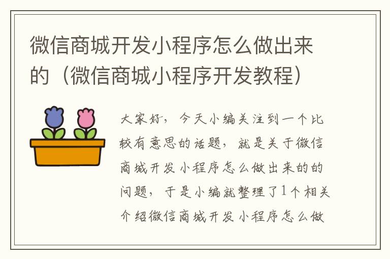 微信商城开发小程序怎么做出来的(微信商城小程序开发教程)
