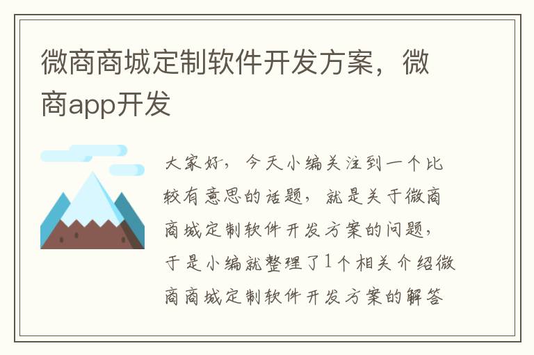 微商商城定制软件开发方案,微商app开发