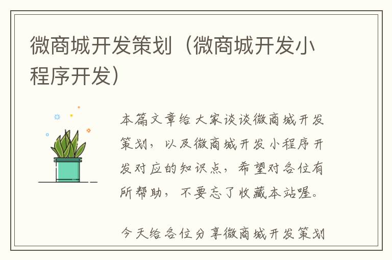 微商城开发策划(微商城开发小程序开发)