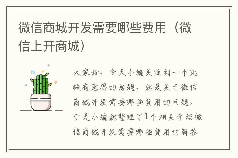 微信商城开发需要哪些费用(微信上开商城)
