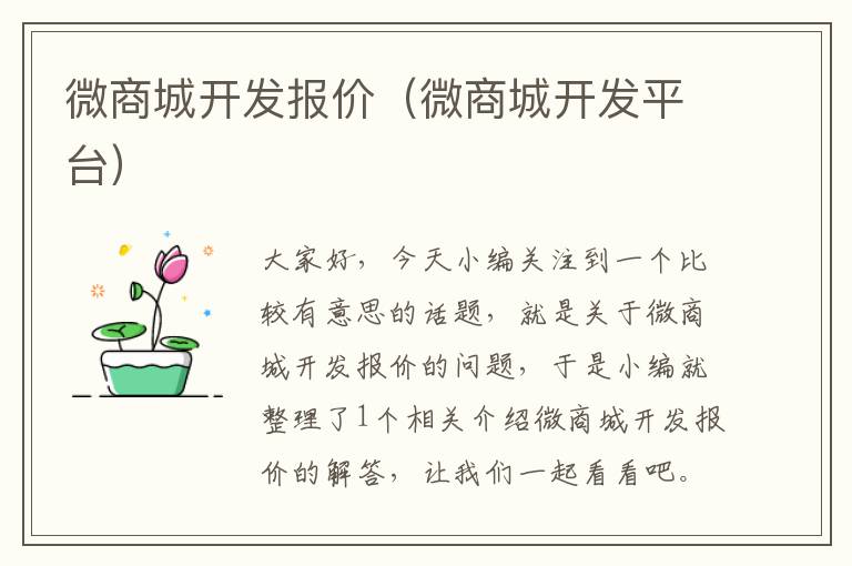 微商城开发报价(微商城开发平台)