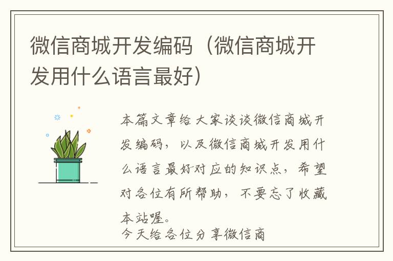微信商城开发编码(微信商城开发用什么语言最好)