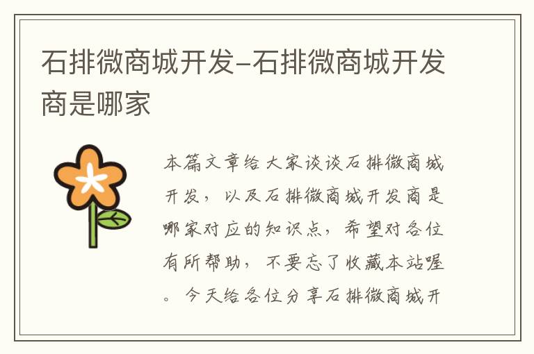 石排微商城开发-石排微商城开发商是哪家
