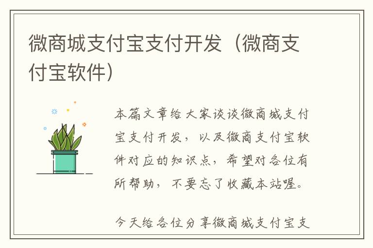微商城支付宝支付开发(微商支付宝软件)