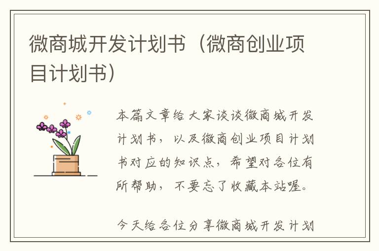 微商城开发计划书(微商创业项目计划书)