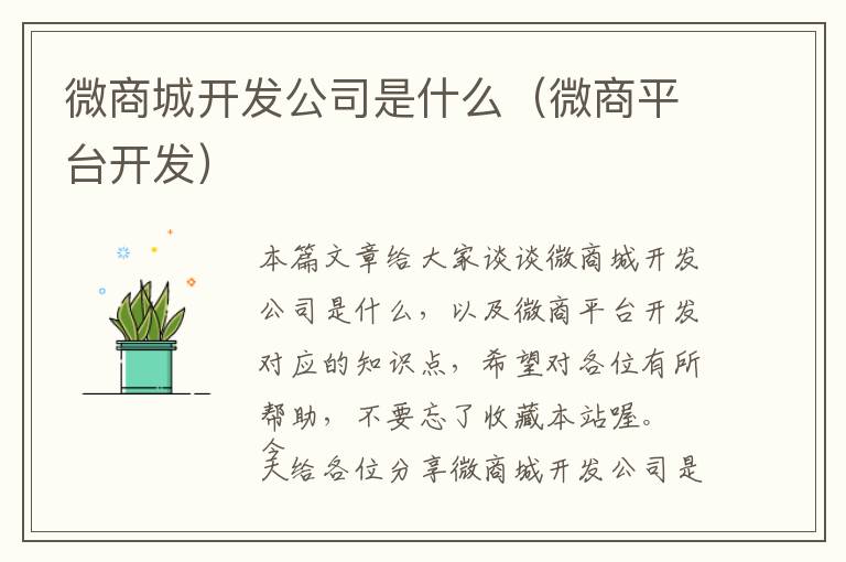 微商城开发公司是什么(微商平台开发)
