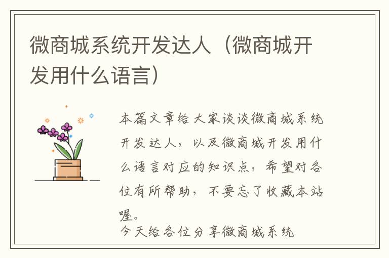 微商城系统开发达人(微商城开发用什么语言)