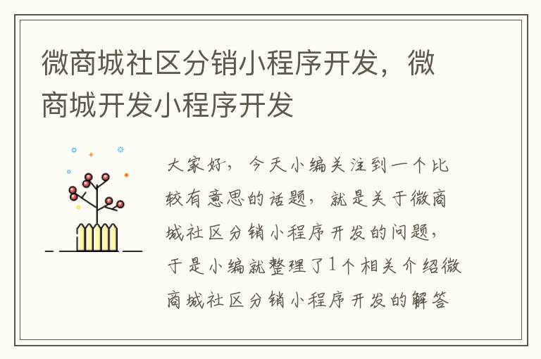 微商城社区分销小程序开发,微商城开发小程序开发