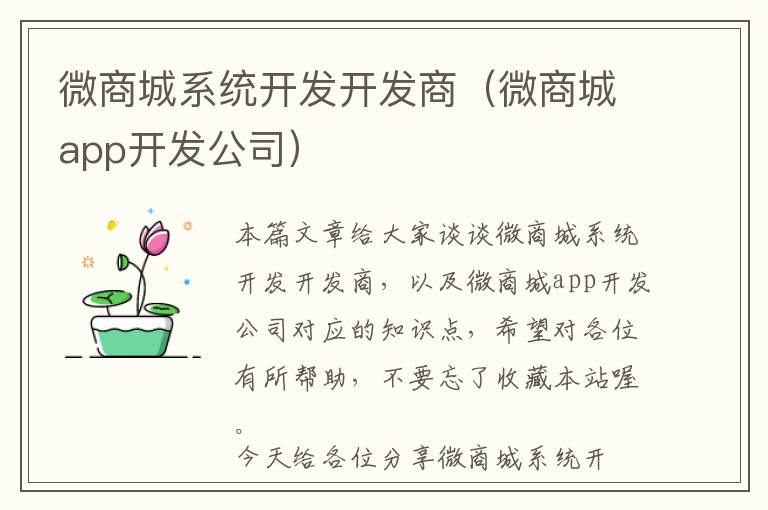 微商城系统开发开发商(微商城app开发公司)