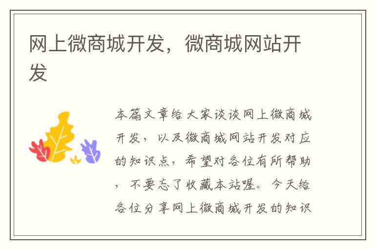 网上微商城开发,微商城网站开发
