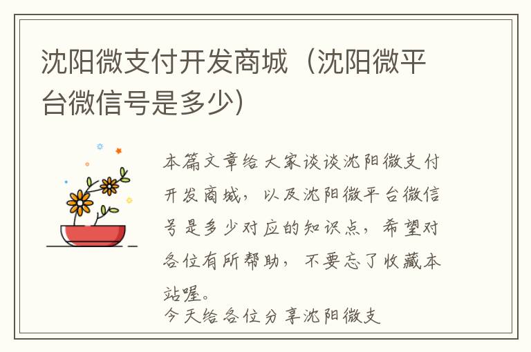沈阳微支付开发商城(沈阳微平台微信号是多少)