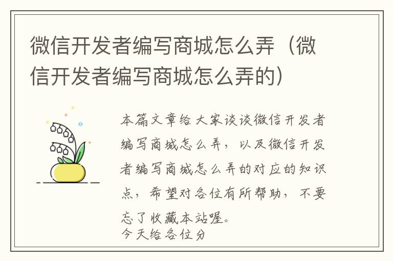 微信开发者编写商城怎么弄(微信开发者编写商城怎么弄的)