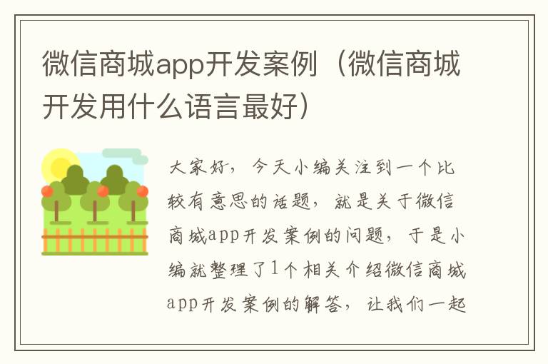微信商城app开发案例(微信商城开发用什么语言最好)