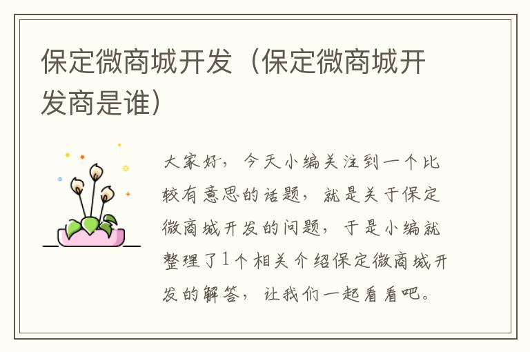 保定微商城开发(保定微商城开发商是谁)