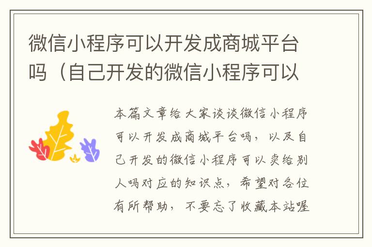 微信小程序可以开发成商城平台吗(自己开发的微信小程序可以卖给别人吗)