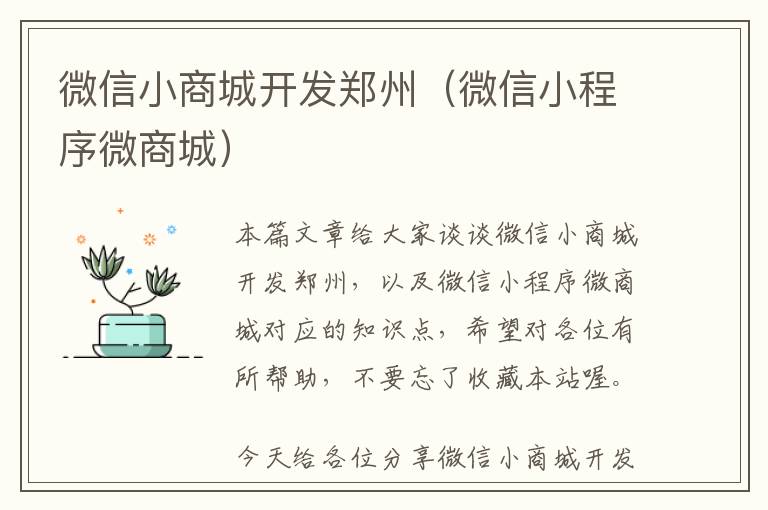 微信小商城开发郑州(微信小程序微商城)