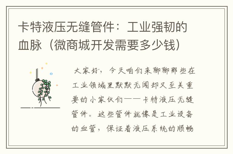 卡特液压无缝管件:工业强韧的血脉(微商城开发需要多少钱)