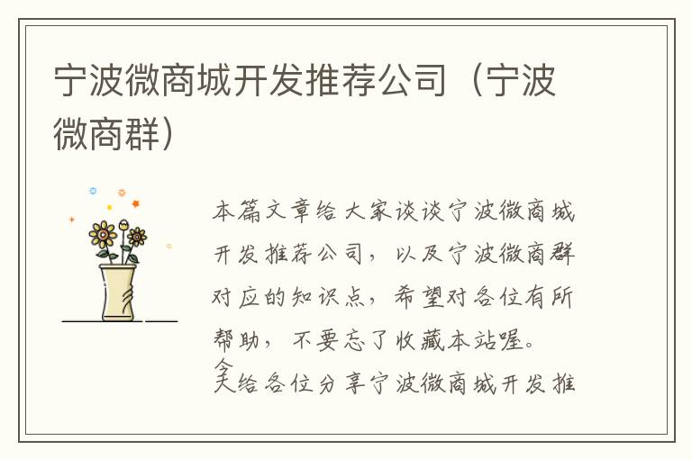 宁波微商城开发推荐公司(宁波微商群)