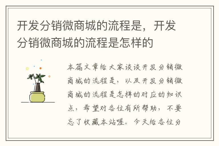 开发分销微商城的流程是,开发分销微商城的流程是怎样的
