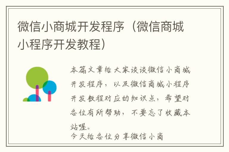 微信小商城开发程序(微信商城小程序开发教程)