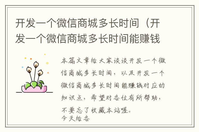 开发一个微信商城多长时间(开发一个微信商城多长时间能赚钱)