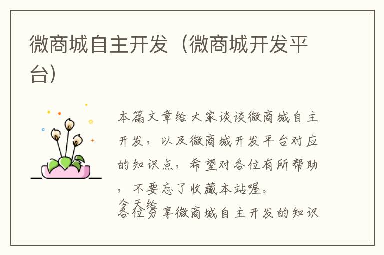 微商城自主开发(微商城开发平台)