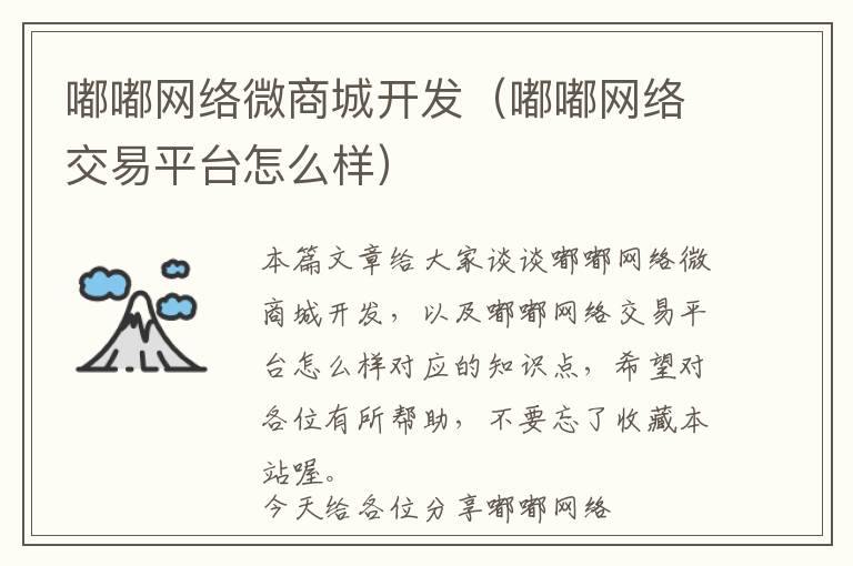 嘟嘟网络微商城开发(嘟嘟网络交易平台怎么样)