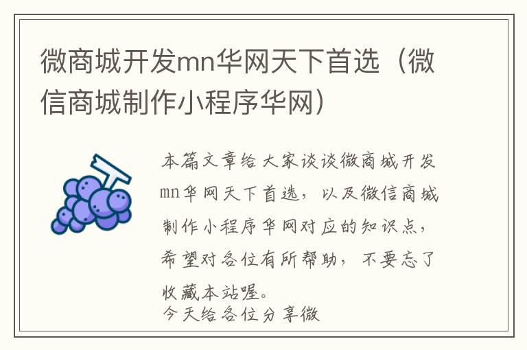 微商城开发mn华网天下首选(微信商城制作小程序华网)
