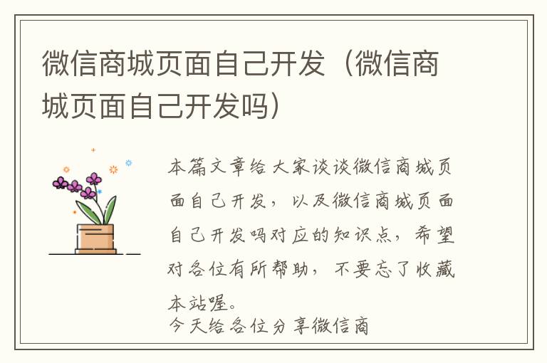 微信商城页面自己开发(微信商城页面自己开发吗)