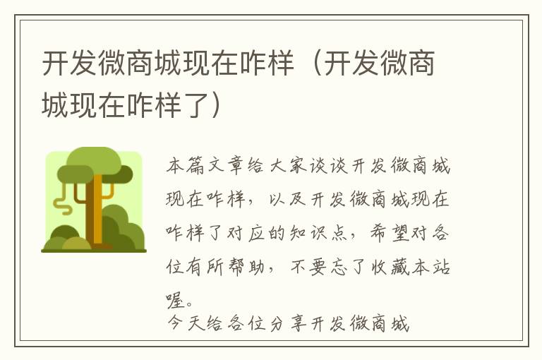 开发微商城现在咋样(开发微商城现在咋样了)