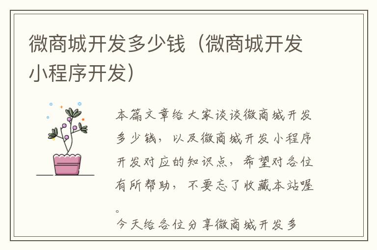 微商城开发多少钱(微商城开发小程序开发)